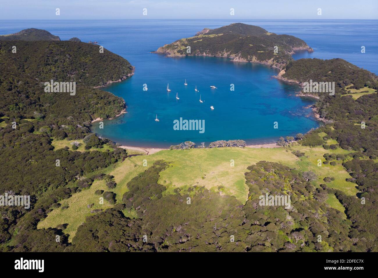 Group of sailboats in Whangamumu Harbour, Northland Stock Photo