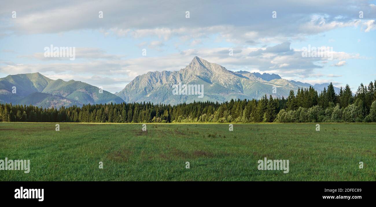 Summer meadow panorama, with forest and mount Krivan (Slovak symbol) peak in distance, afternoon clouds above Stock Photo