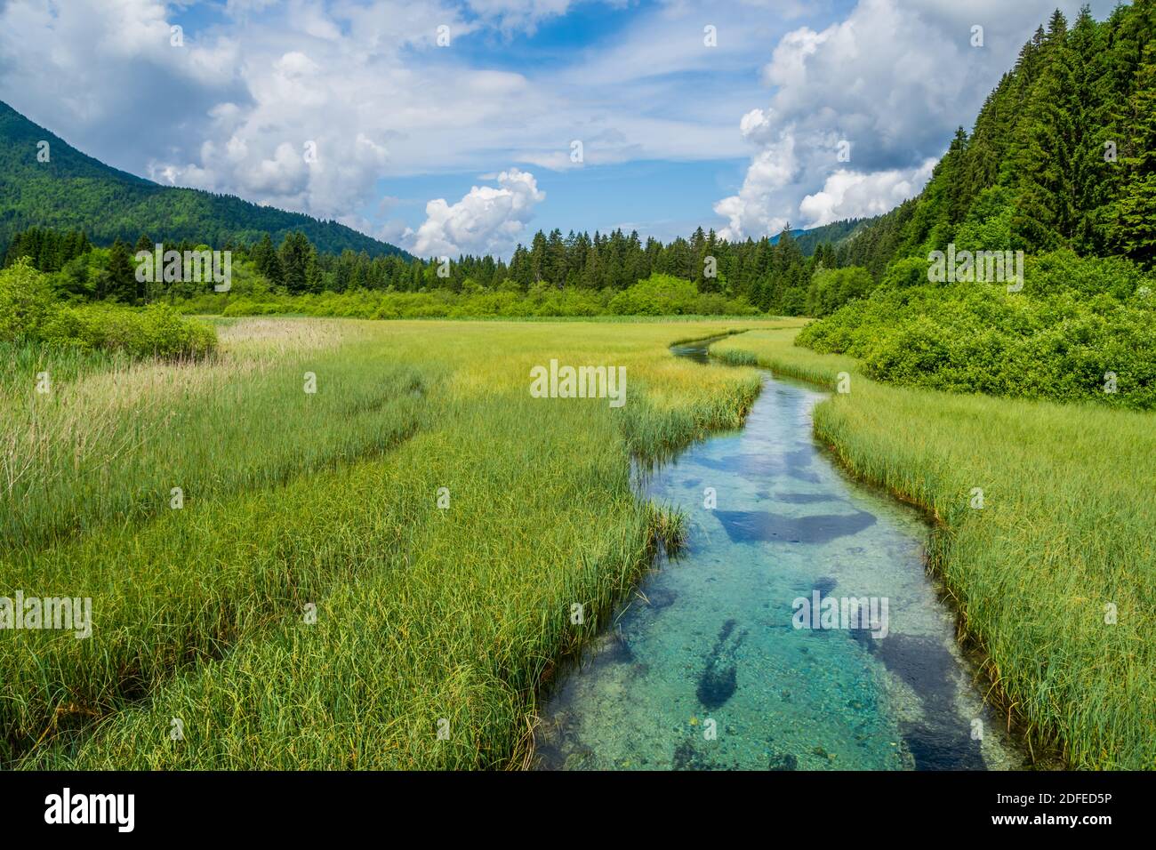 Wonderful Slovenia on kranjska Gora and  the natural reserve of Zelenci Stock Photo