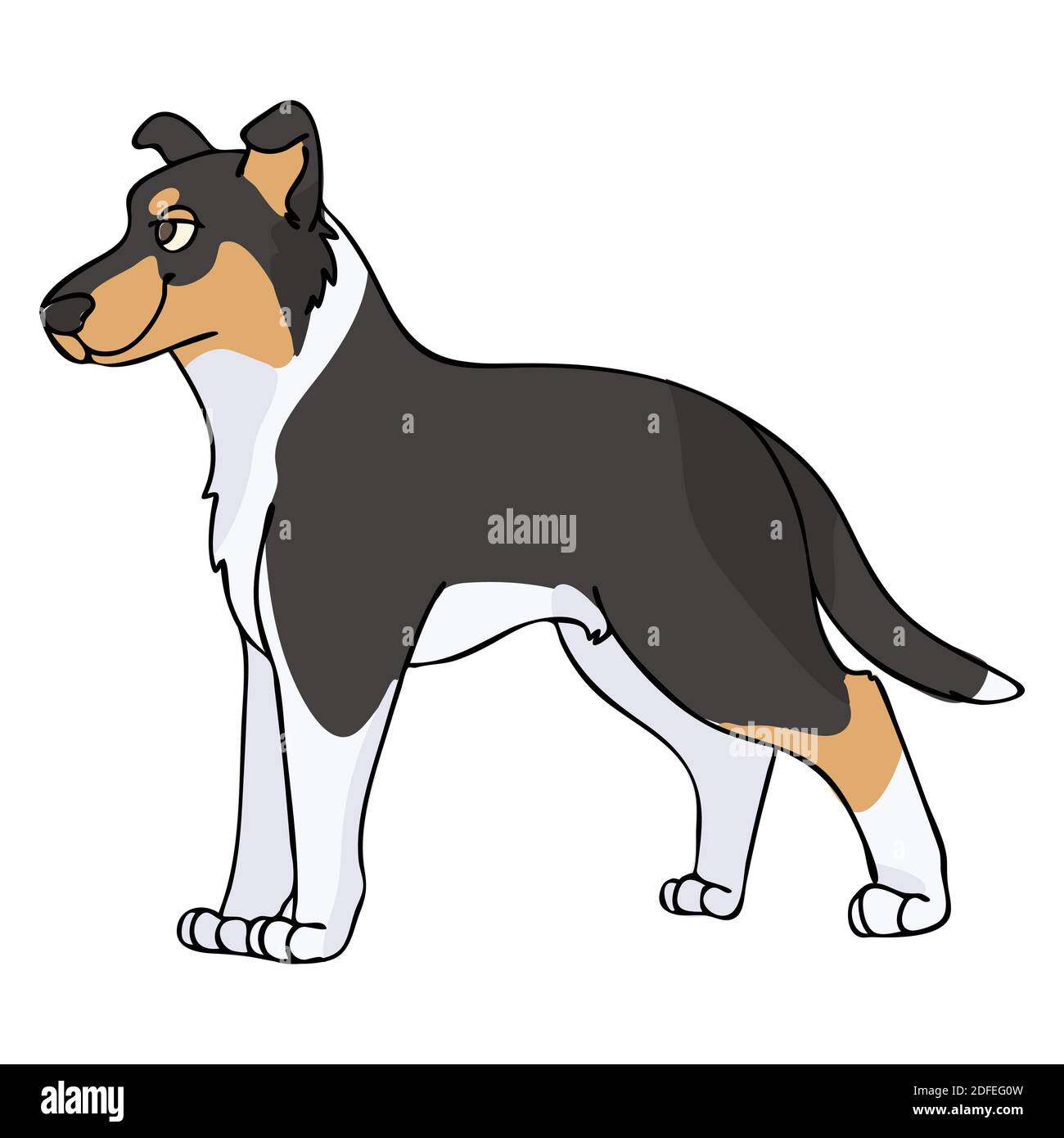 Hand drawn cute smooth collie breed dog seamless vector pattern ...
