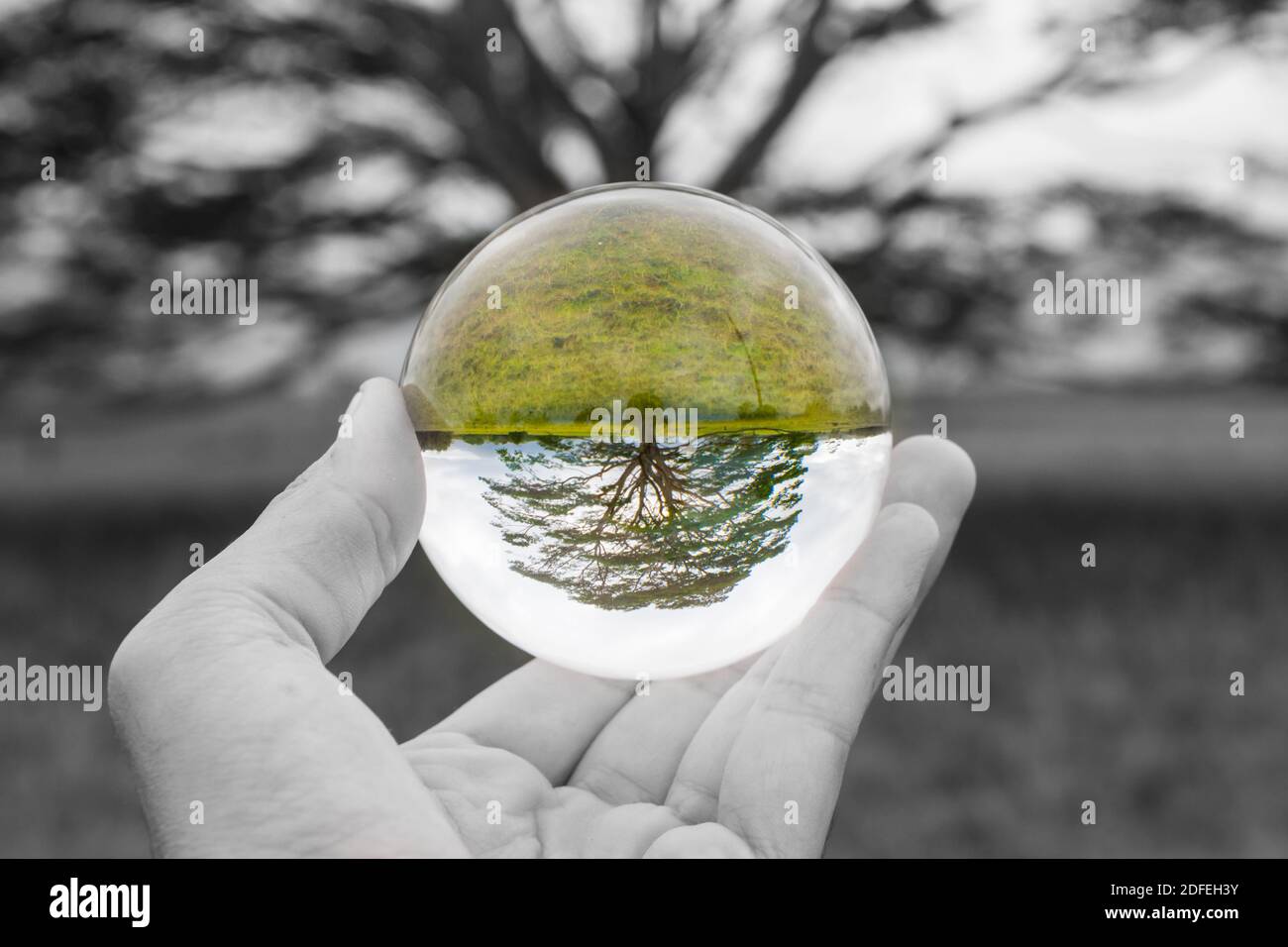 Environmental transition is in your hands Stock Photo