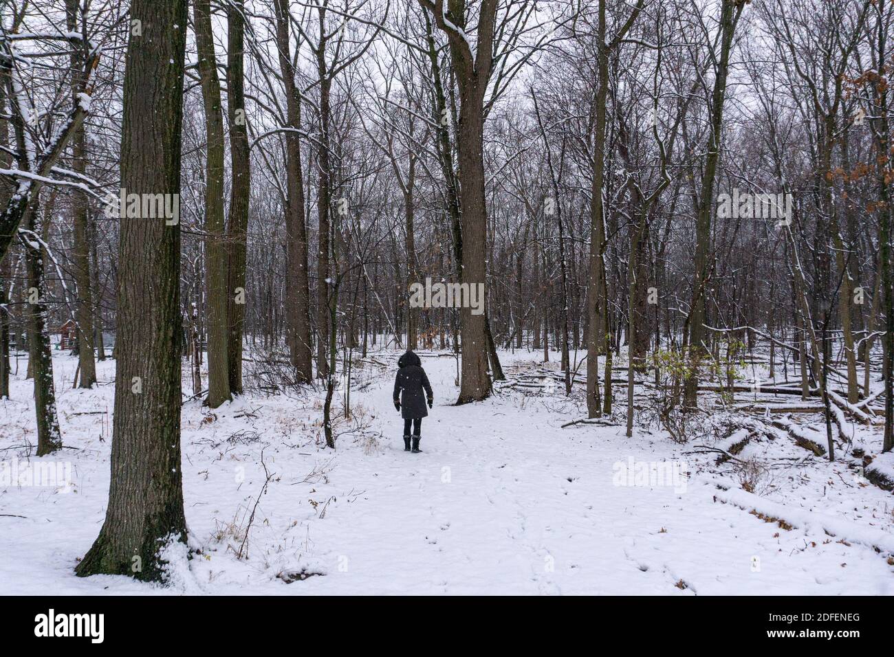 Alone in the forest hi-res stock photography and images - Alamy