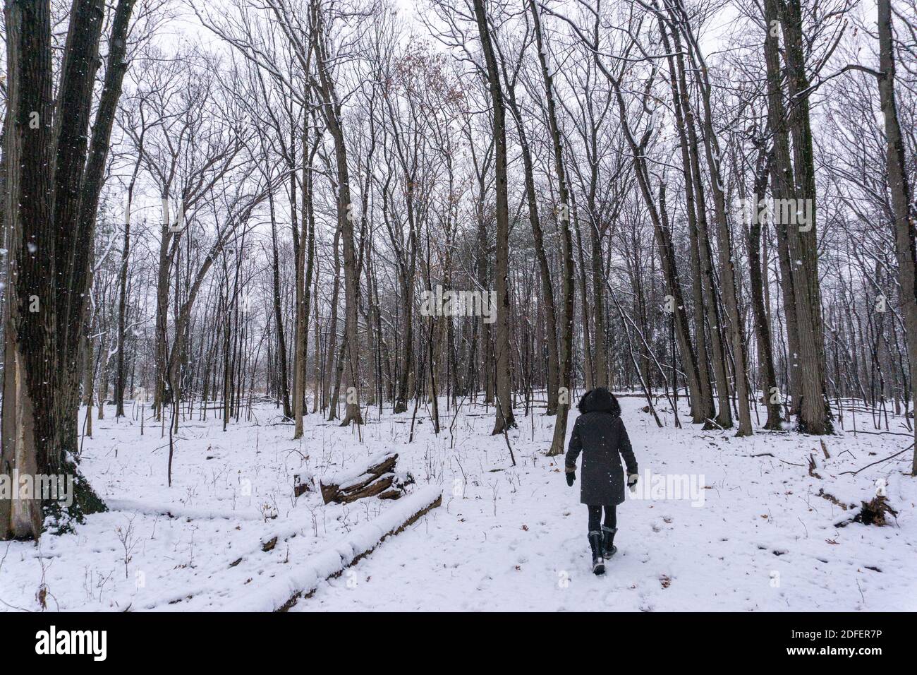 Beautiful blonde woman walks hi-res stock photography and images - Alamy