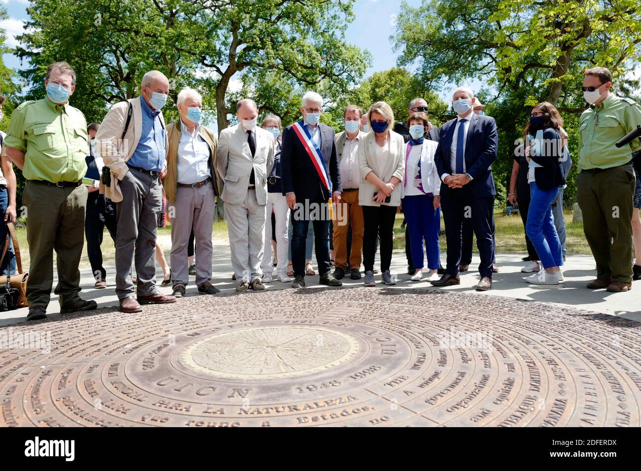 solette scarpe ginnastica