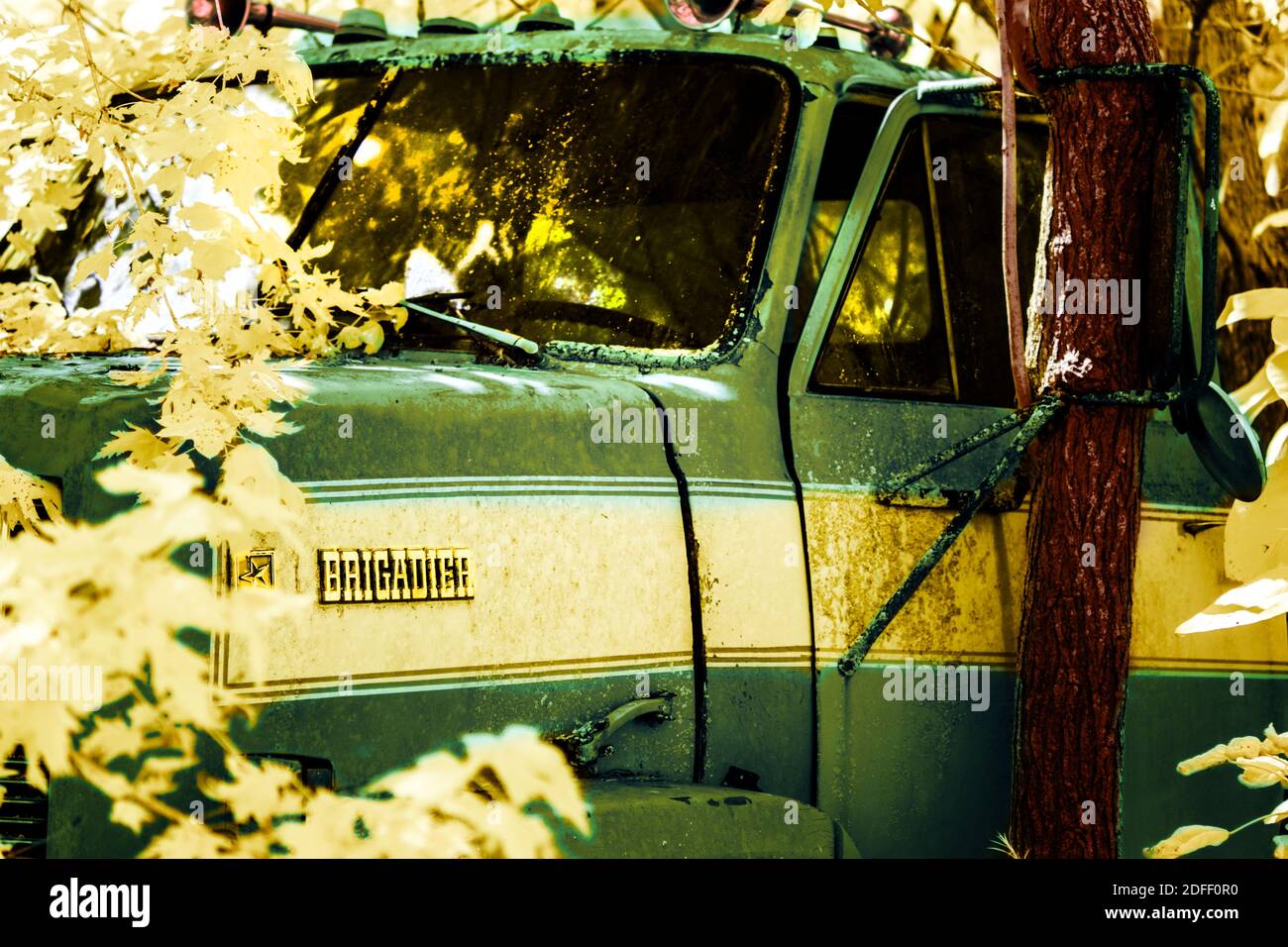 A false color infrared image of a Chevrolet brigadier rusting away in a junkyard.  A tree grows up through a mirror. Stock Photo