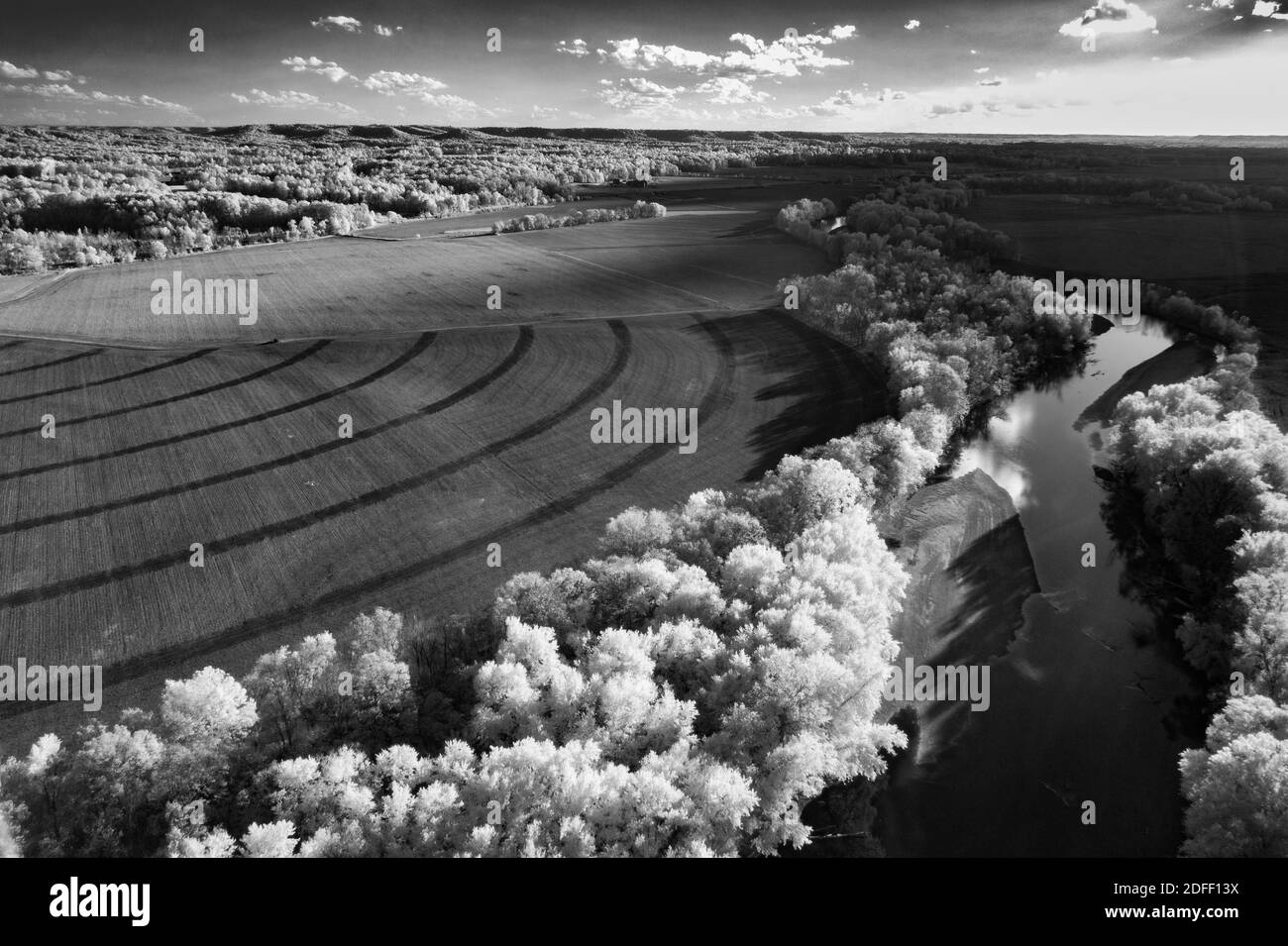 An aerial black and white infrared photo of a field with a river lined by trees.  There are some semi-circles formed by a field irrigator's tires. Stock Photo