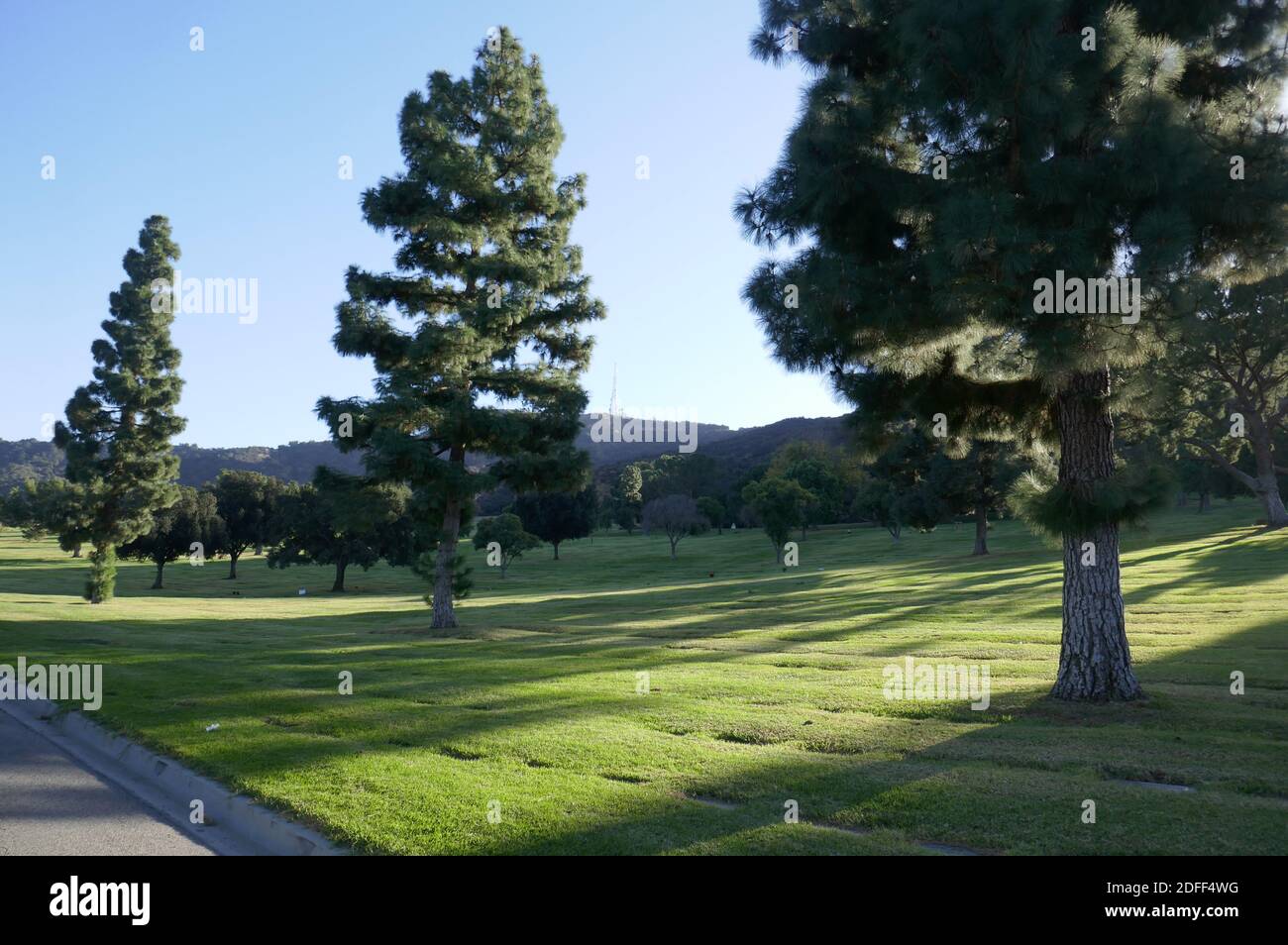 Los Angeles, California, USA 3rd December 2020 A general view of atmosphere of actress Dorothy Lamour's Grave at Forest Lawn Memorial Park Hollywood Hills on December 3, 2020 in Los Angeles, California, USA. Photo by Barry King/Alamy Stock Photo Stock Photo