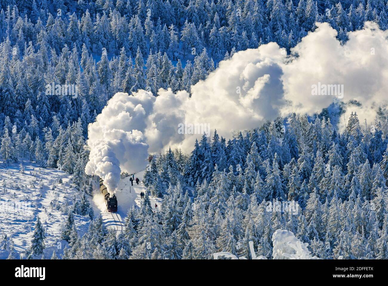 Harzer Schmalspurbahn, HSB-Bahn,  Winter, Harz, Brocken, Stock Photo