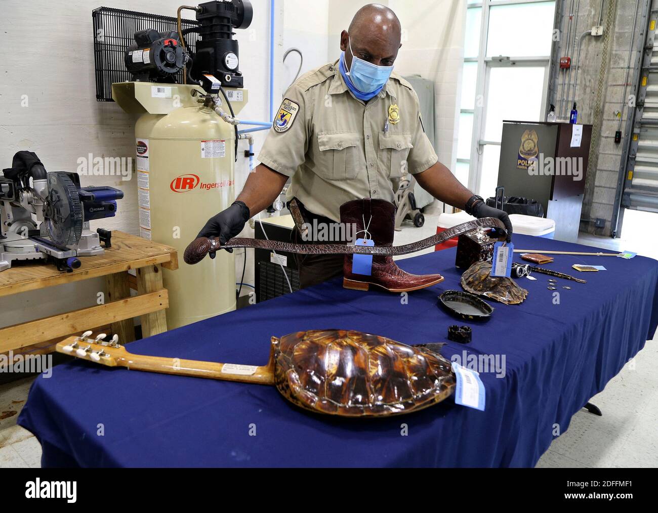 No Film No Video No Tv No Documentary Inspector Bruce Walker With The U S Fish And Wildlife Service Checks A Display Of Previously Seized Objects Made From Sea Turtle Shells As