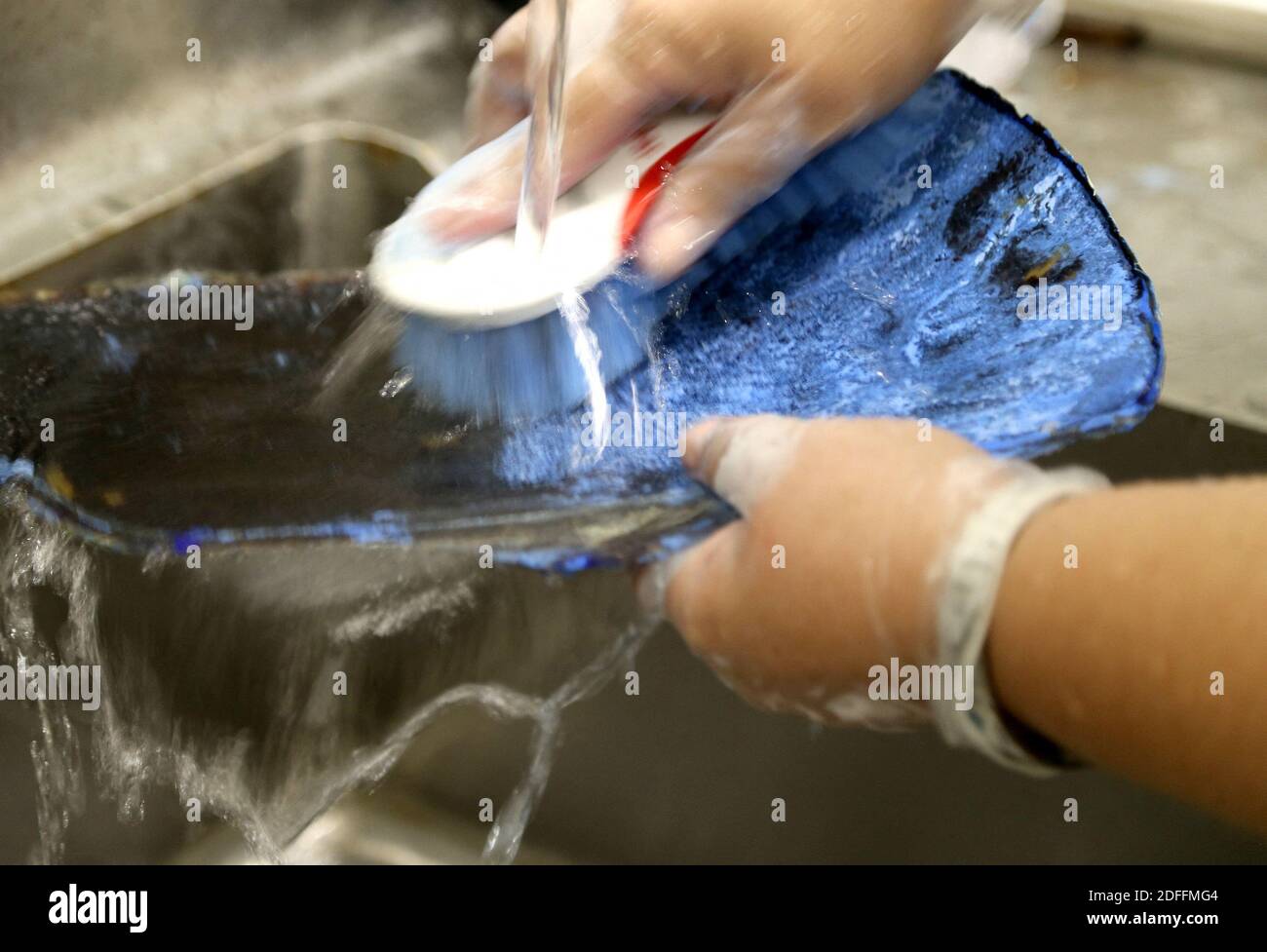 No Film No Video No Tv No Documentary Supervisor Silvia Gaudio With The U S Fish And Wildlife Service Washes A Piece Of An Endangered Sea Turtle Shell Disguised As Blue Plastic