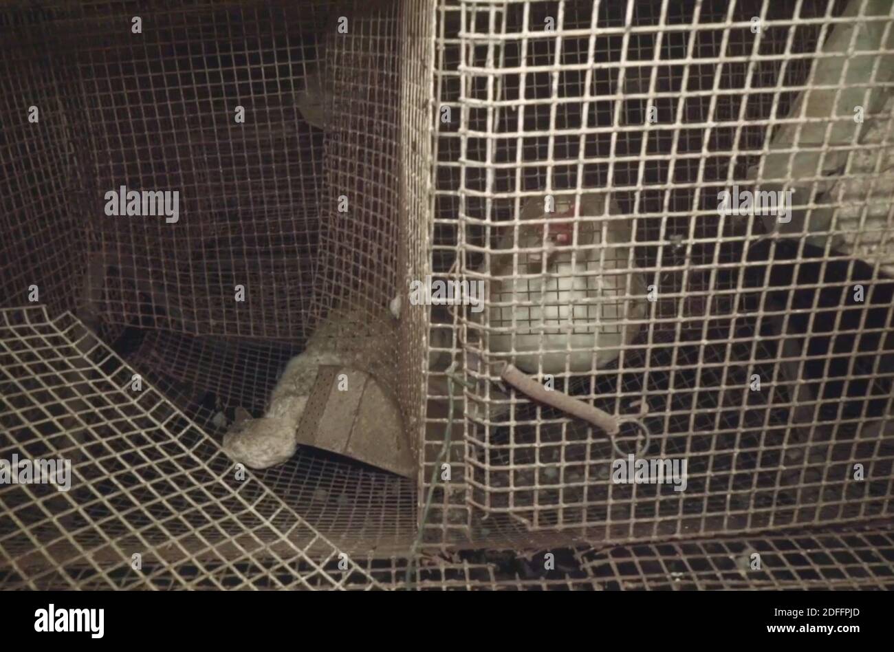 Pau High Resolution Stock Photography And Images Page 9 Alamy