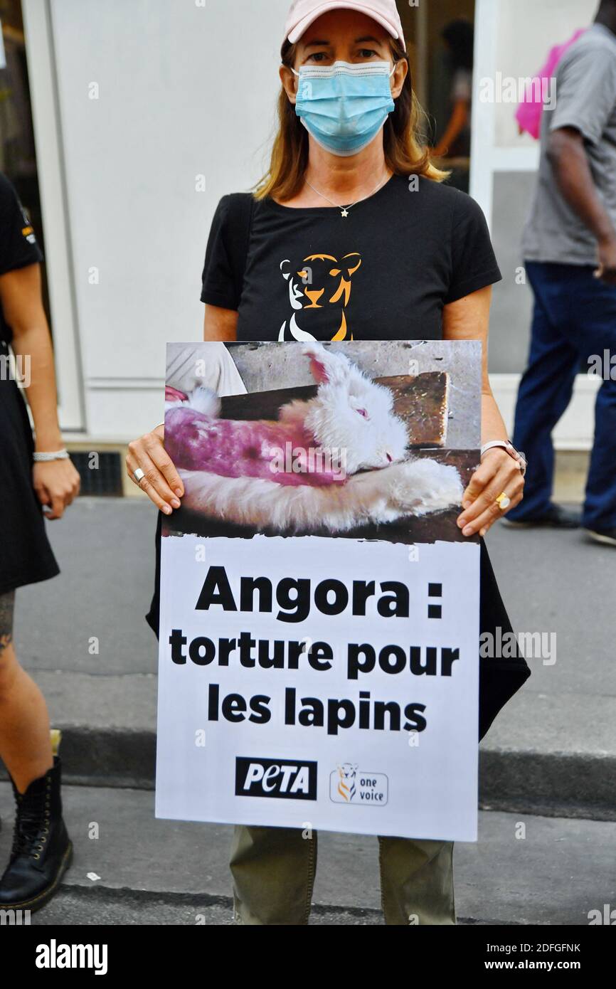 Stop A Angora - Gathering of members of the Peta and One Voice associations  in front of