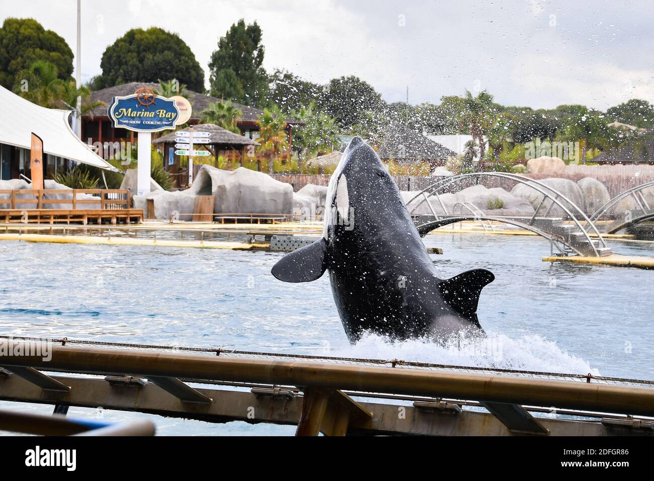 The Marineland is a theme park in Antibes (Alpes-Maritimes), in the French  Riviera. On 26 hectares it includes a marine zoological park with  dolphinarium, a water park (Aquasplash), a children's play park (