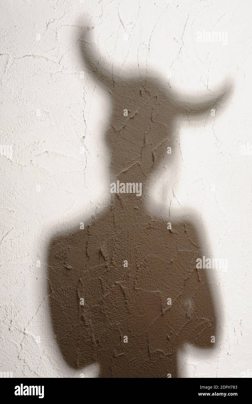 Zodiac shadow 60 photos - Youhoroscope.com