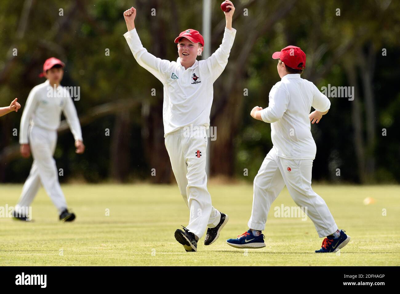 Cricket players celebrate hires stock photography and images Alamy
