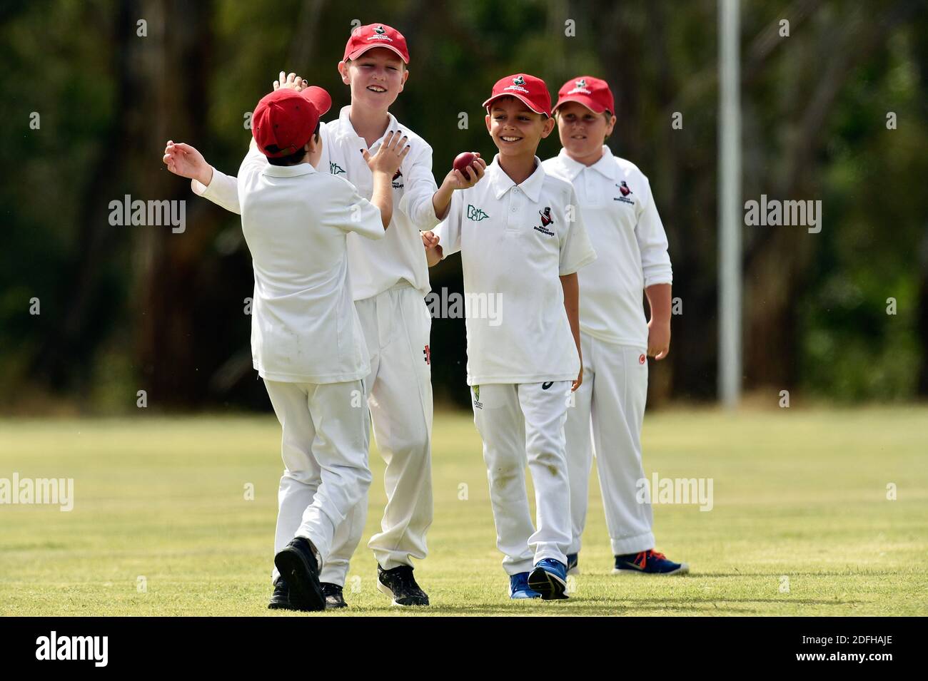 Cricket players celebrate hires stock photography and images Alamy