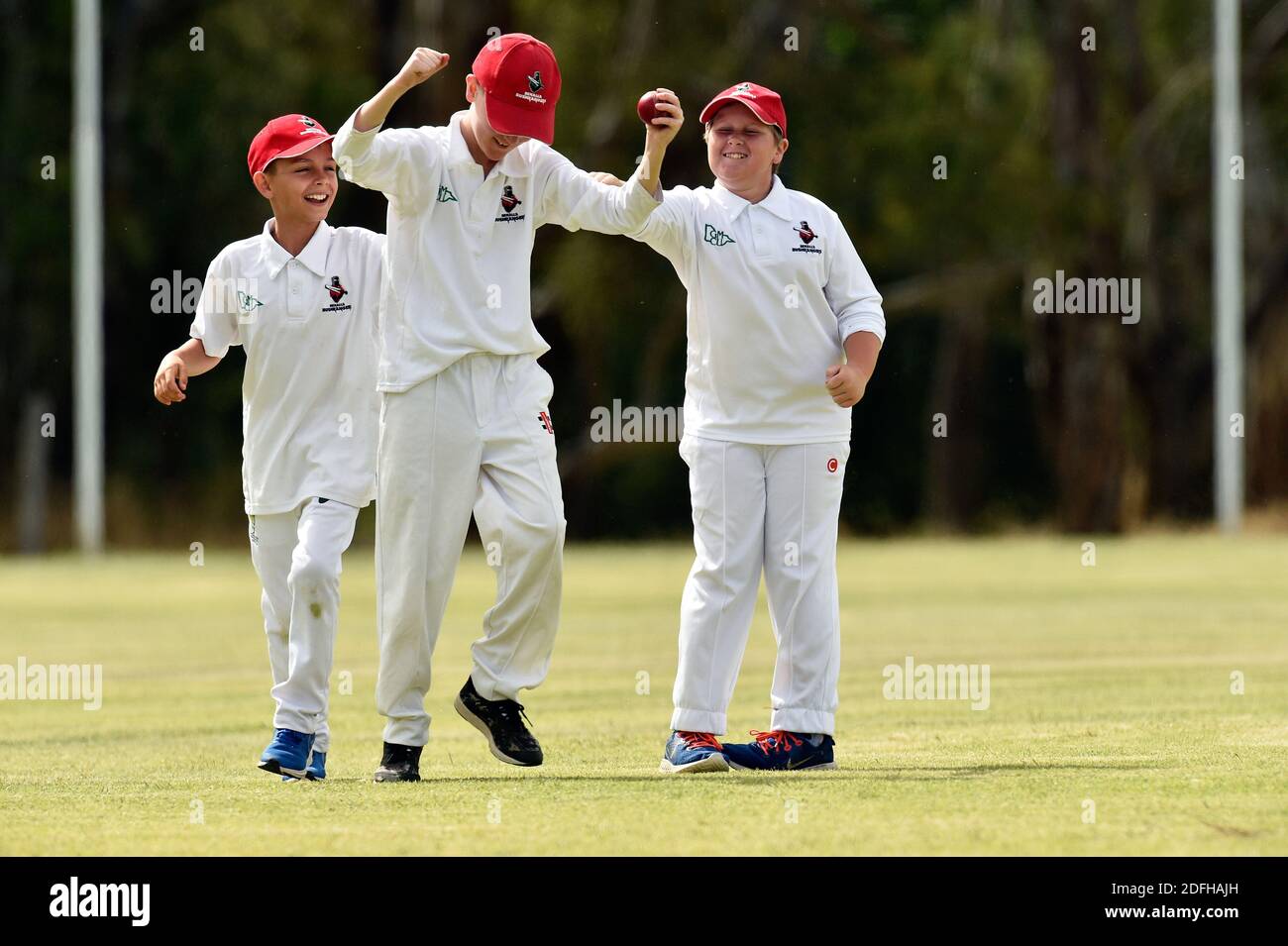 Cricket grass hires stock photography and images Alamy