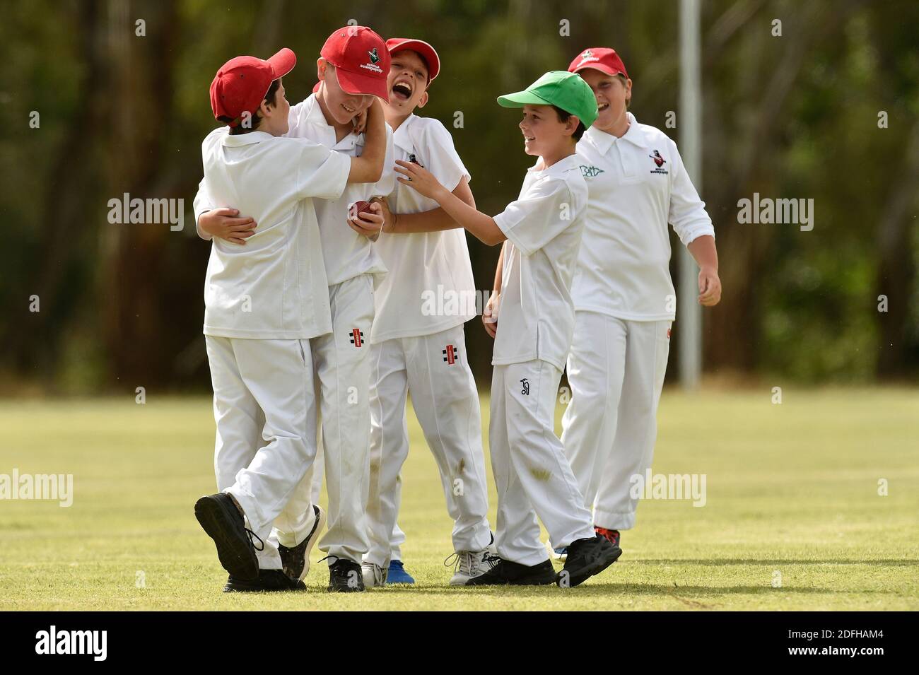 Cricket players celebrate hires stock photography and images Alamy