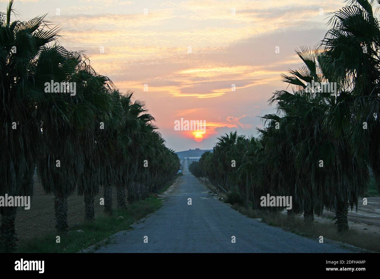 A long straight road leads towards the setting sun in this October picture taken in the farmlands, inland of the Costa Blanca, Spain. Stock Photo