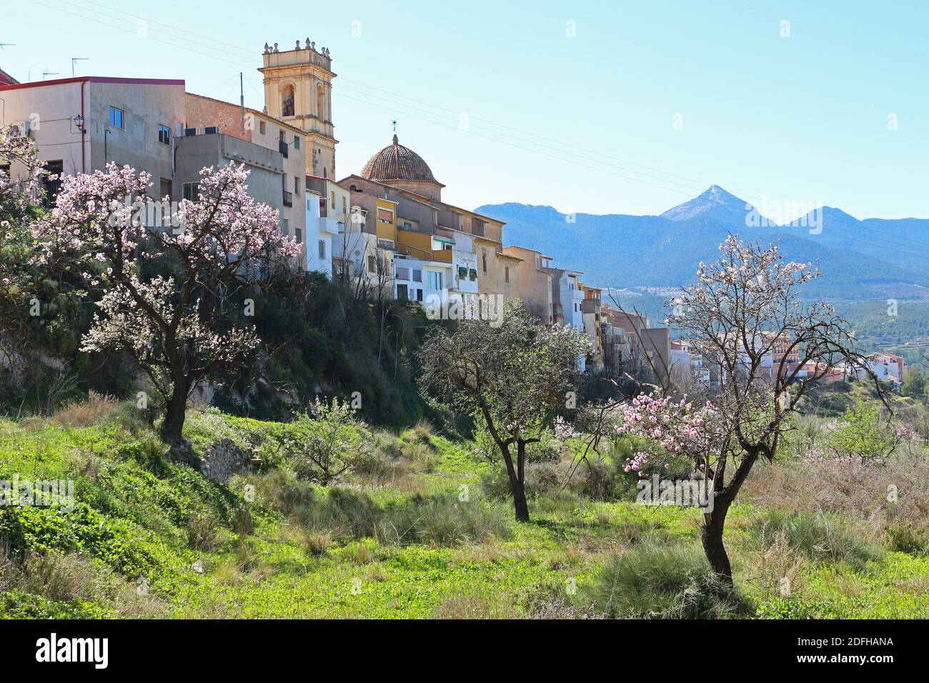 Tibi is a quiet town, population less than 2000. It's located north of Alicante and is a good place to start country walks. Almond trees blossoming. Stock Photo
