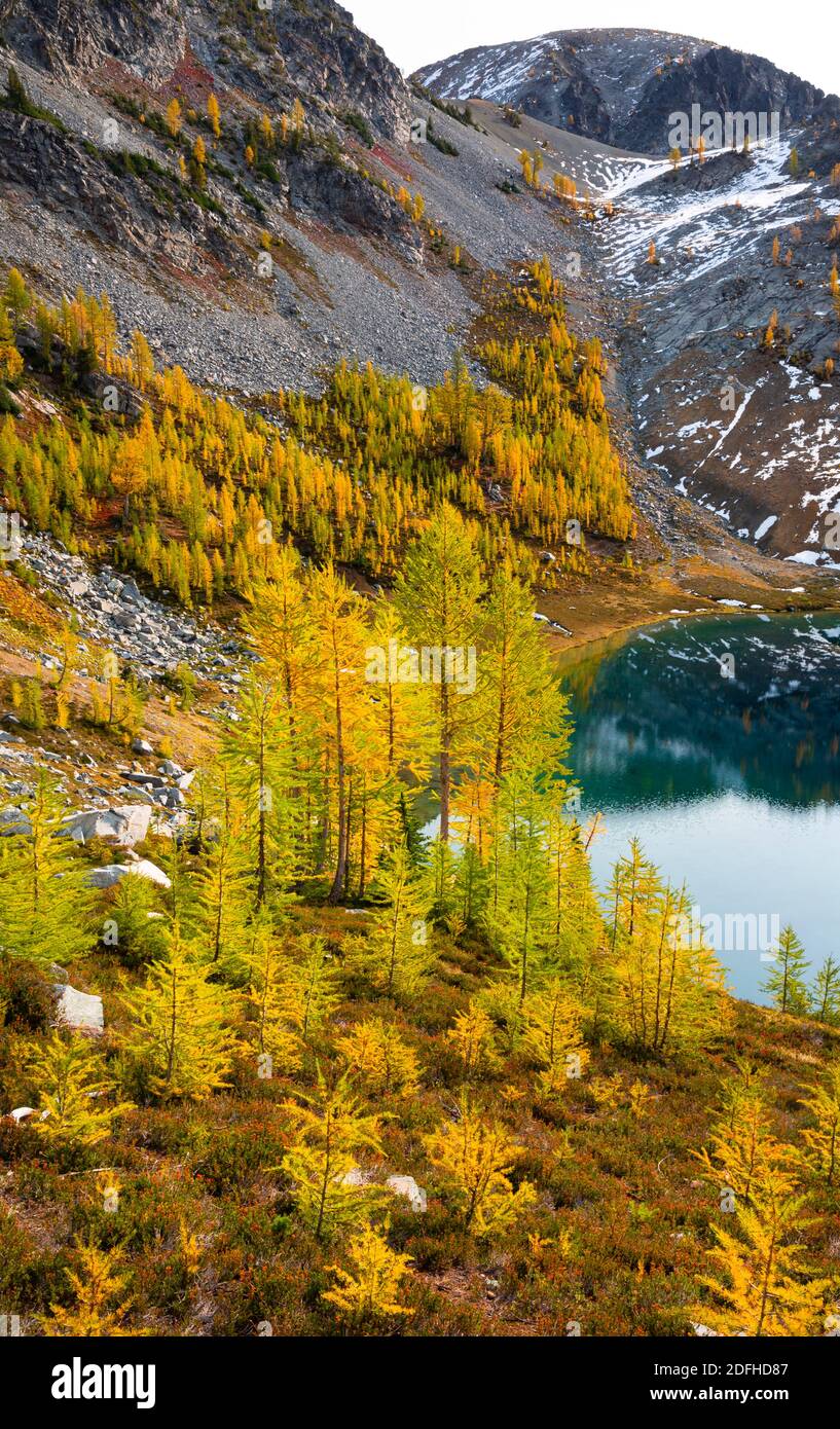 Larch fires hi-res stock photography and images - Alamy
