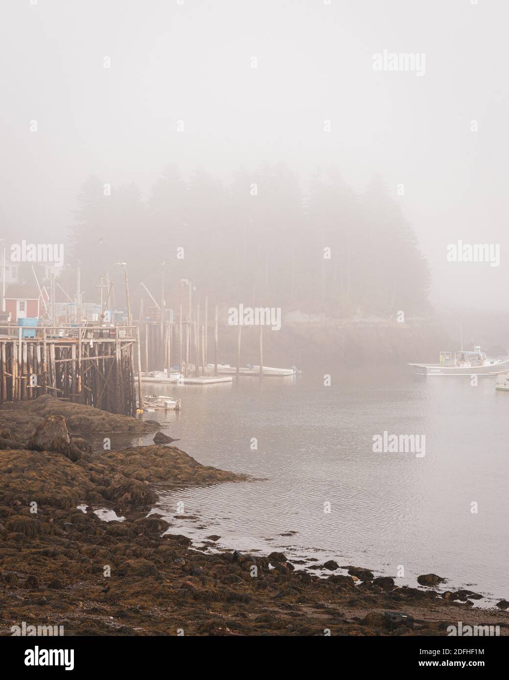 Boats in the Little River, in the harbor of Cutler, Maine Stock Photo