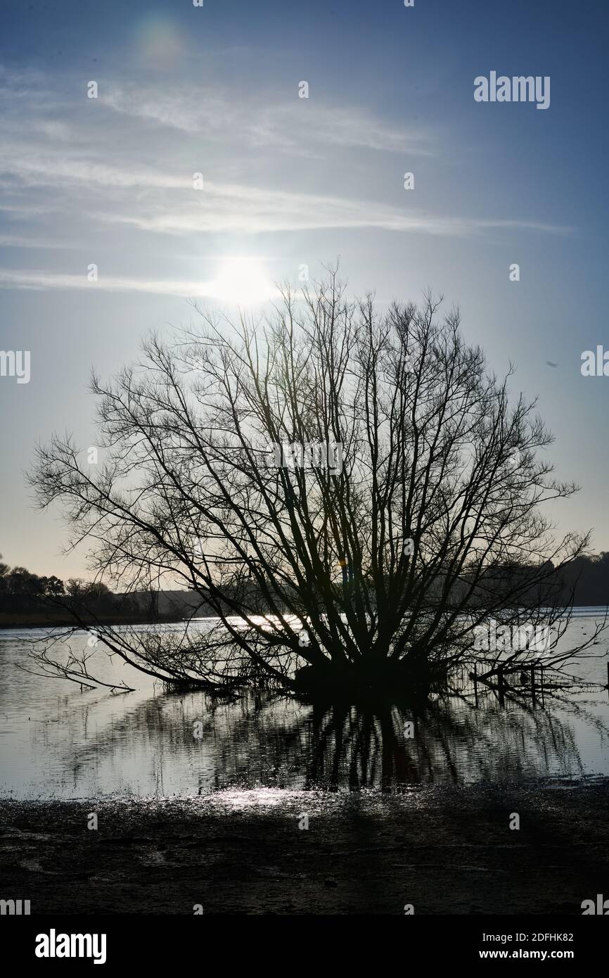 Early sunlight over a lake on a frosty late autumn morning. Stock Photo