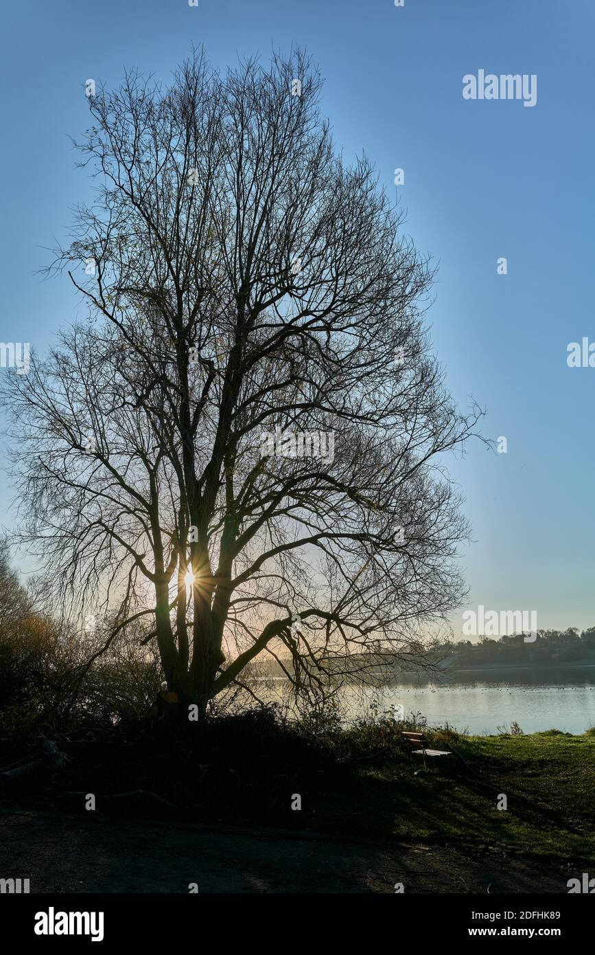 Early sunlight over a lake on a frosty late autumn morning. Stock Photo