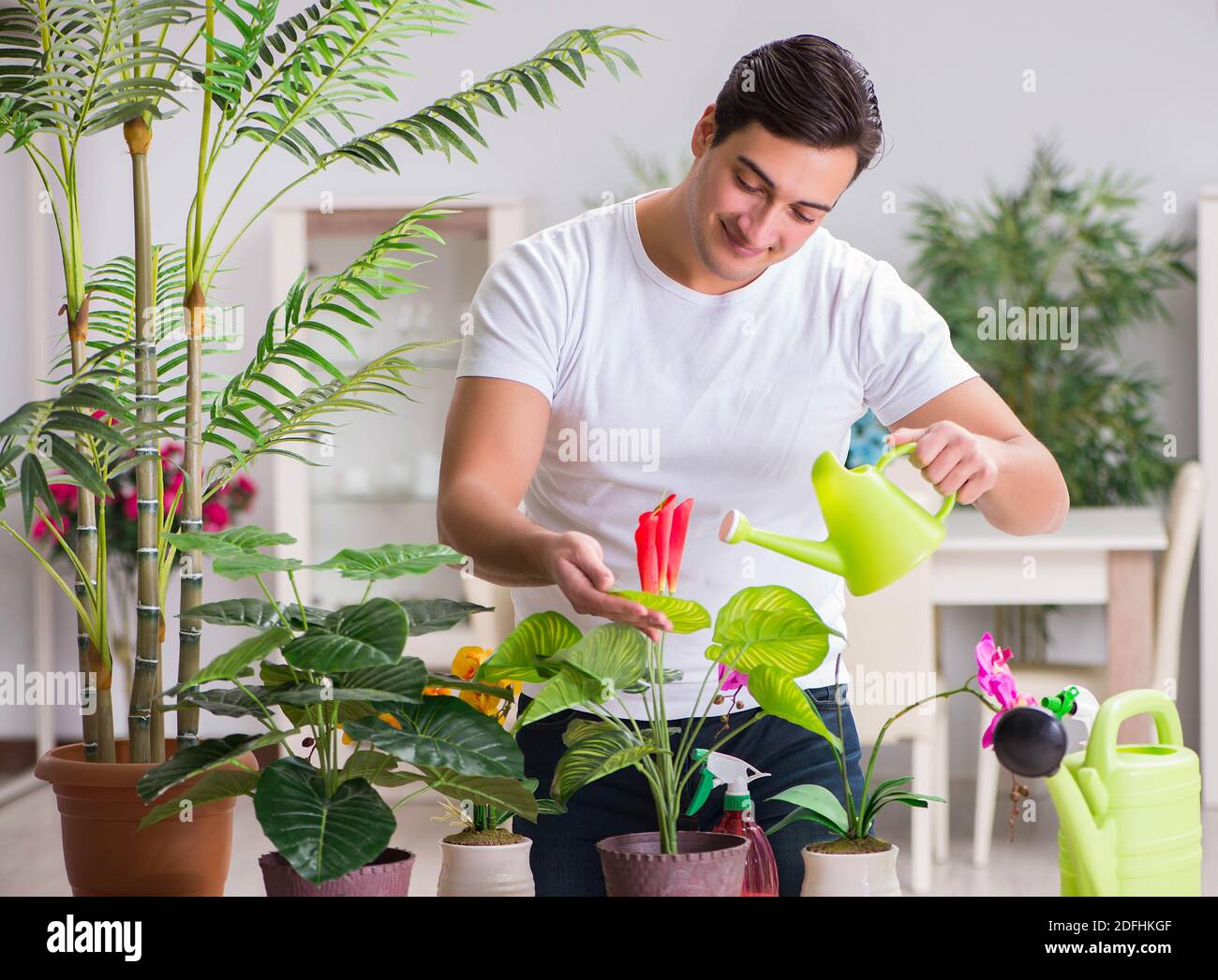 The young man in gardening concept at home Stock Photo