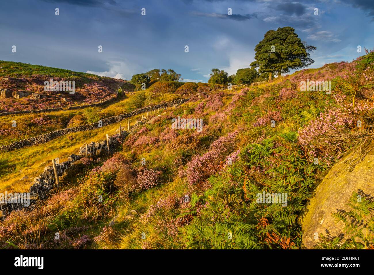 View of Curbar Edge from Baslow Edge, Baslow, Peak District National ...