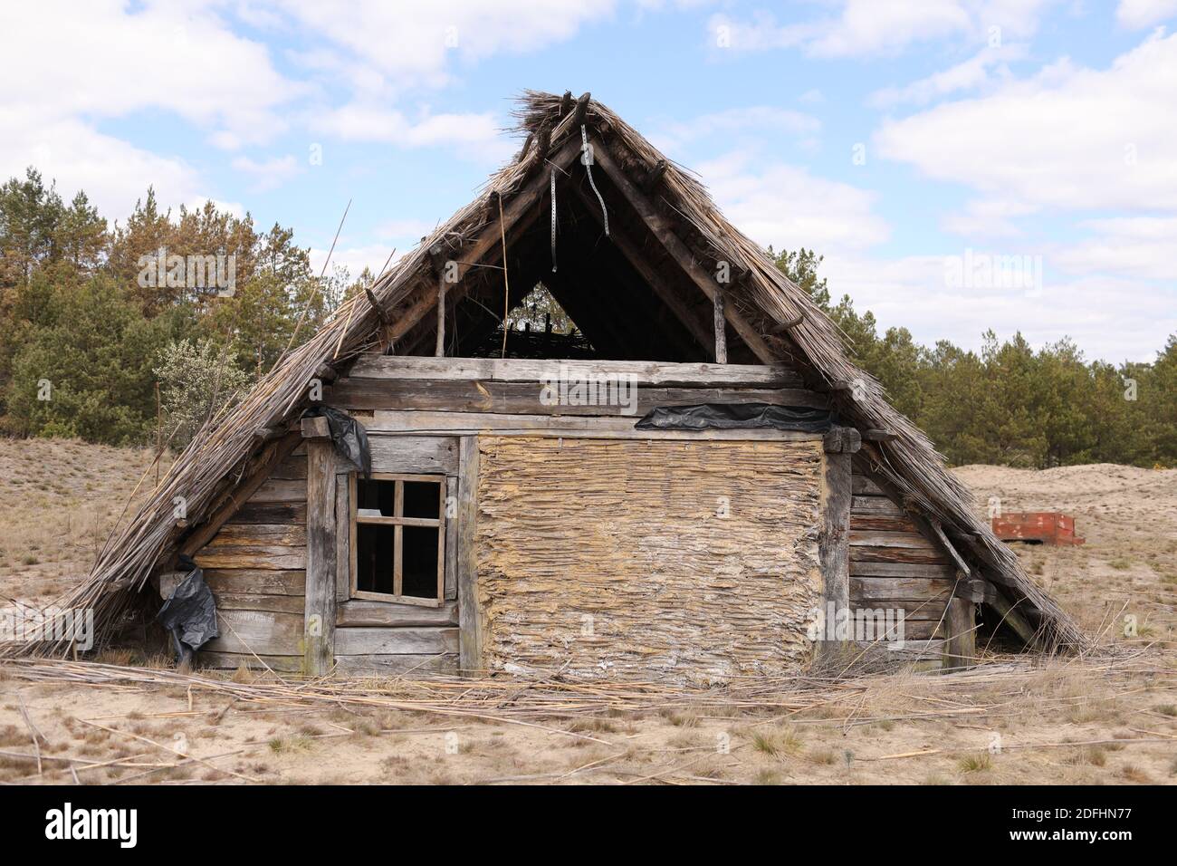 traditional old rustic building with a roof covered with straw on early ...