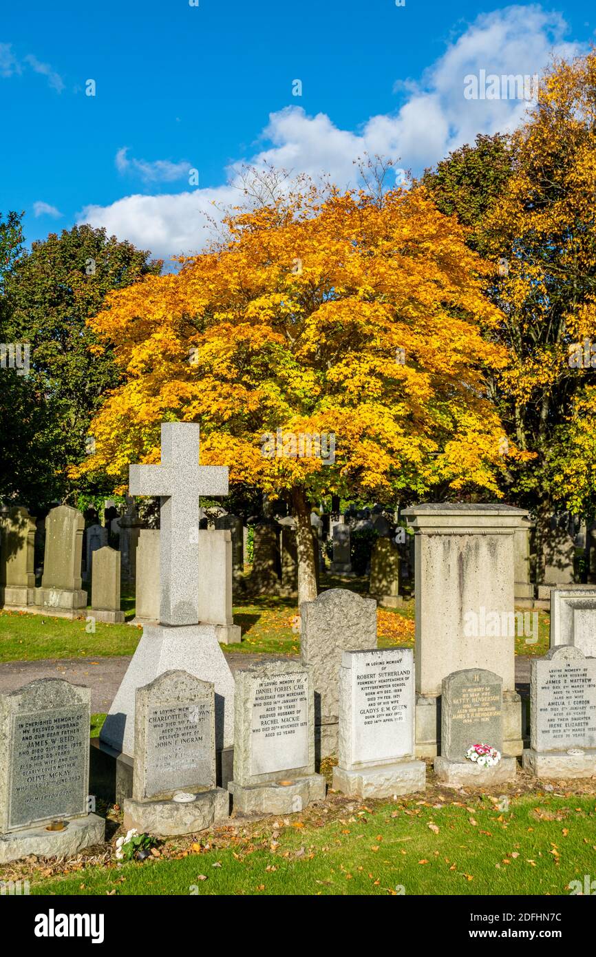 Springbank hi-res stock photography and images - Alamy