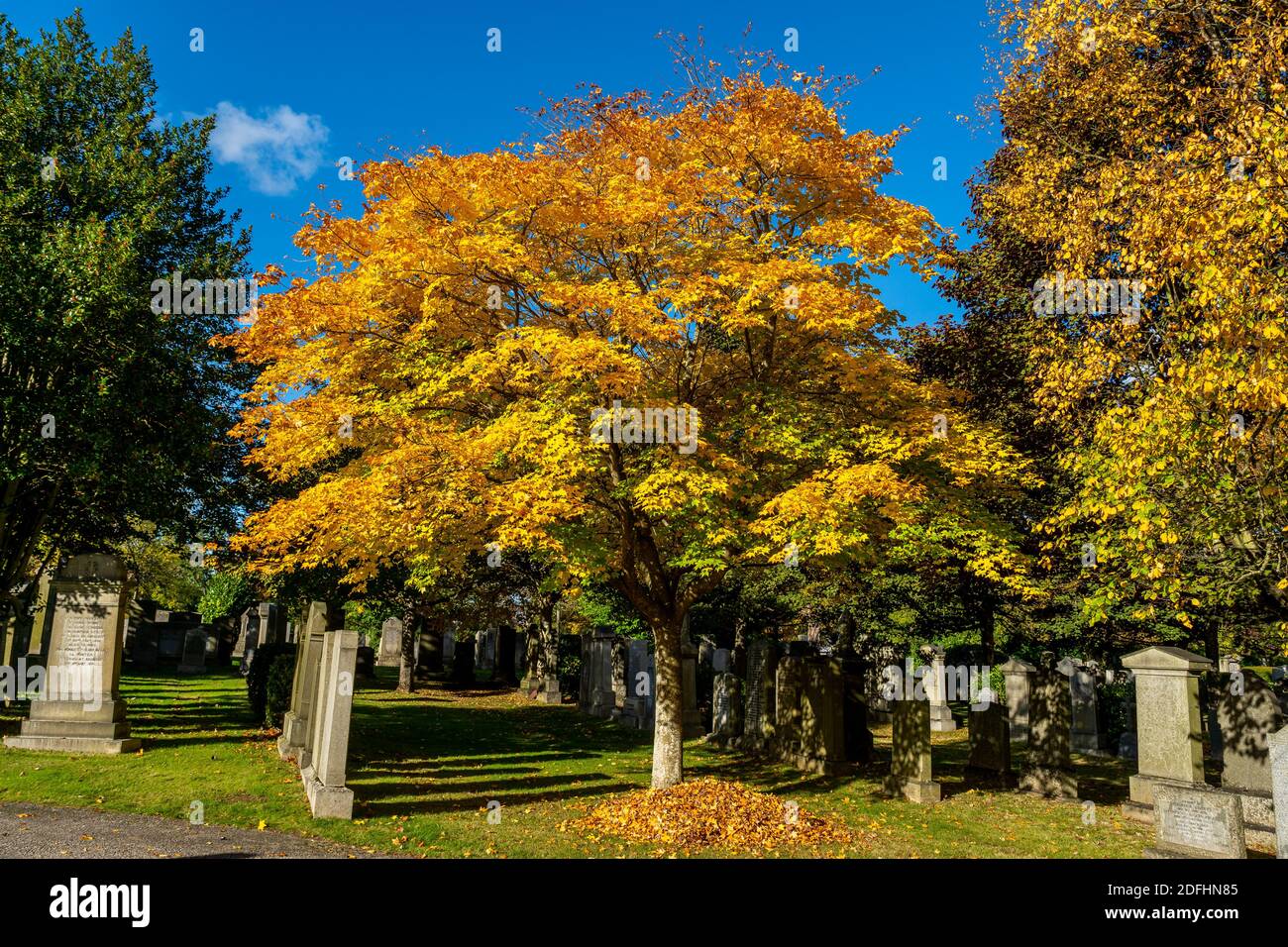 Springbank park hi-res stock photography and images - Alamy