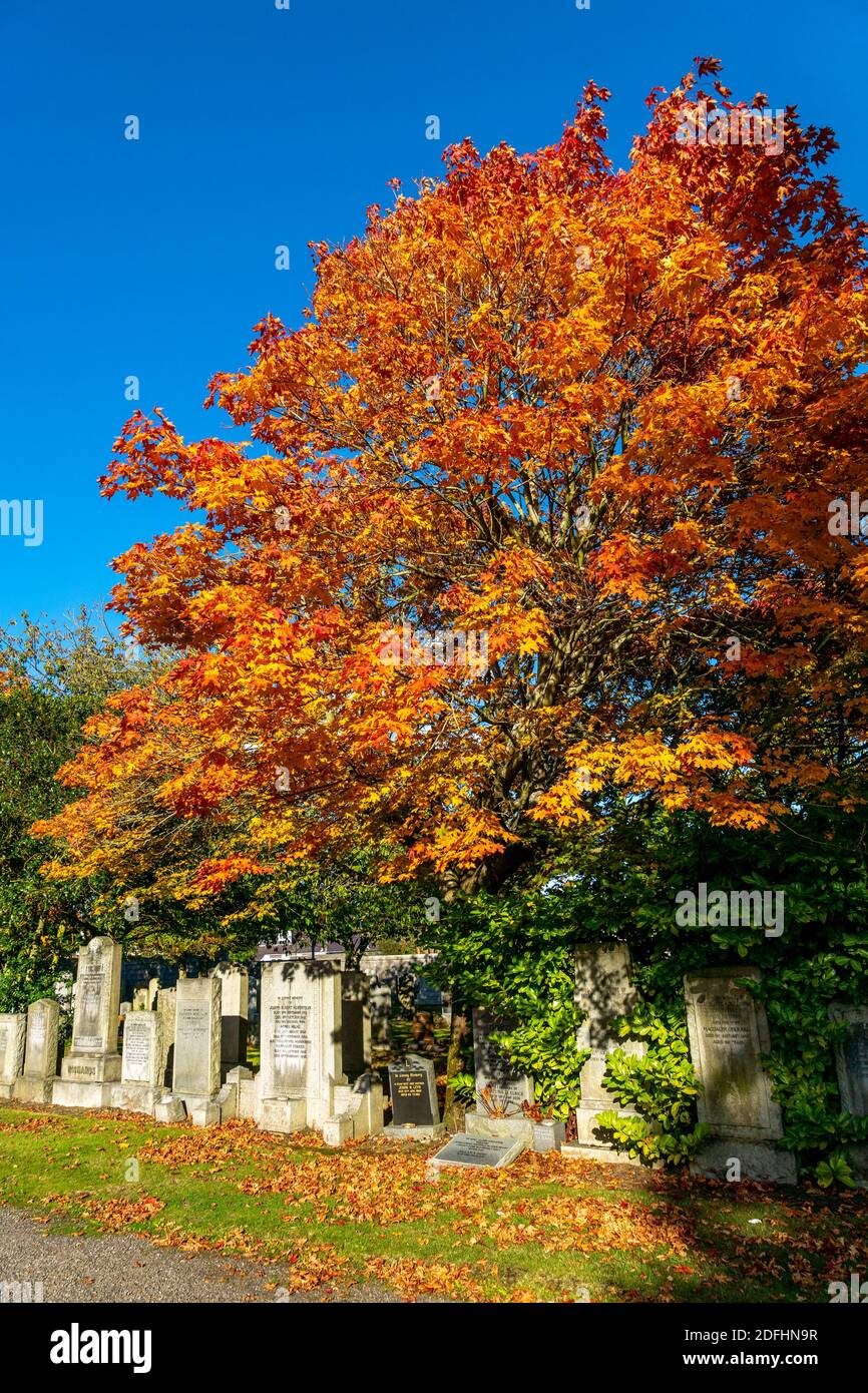 Springbank park hi-res stock photography and images - Alamy