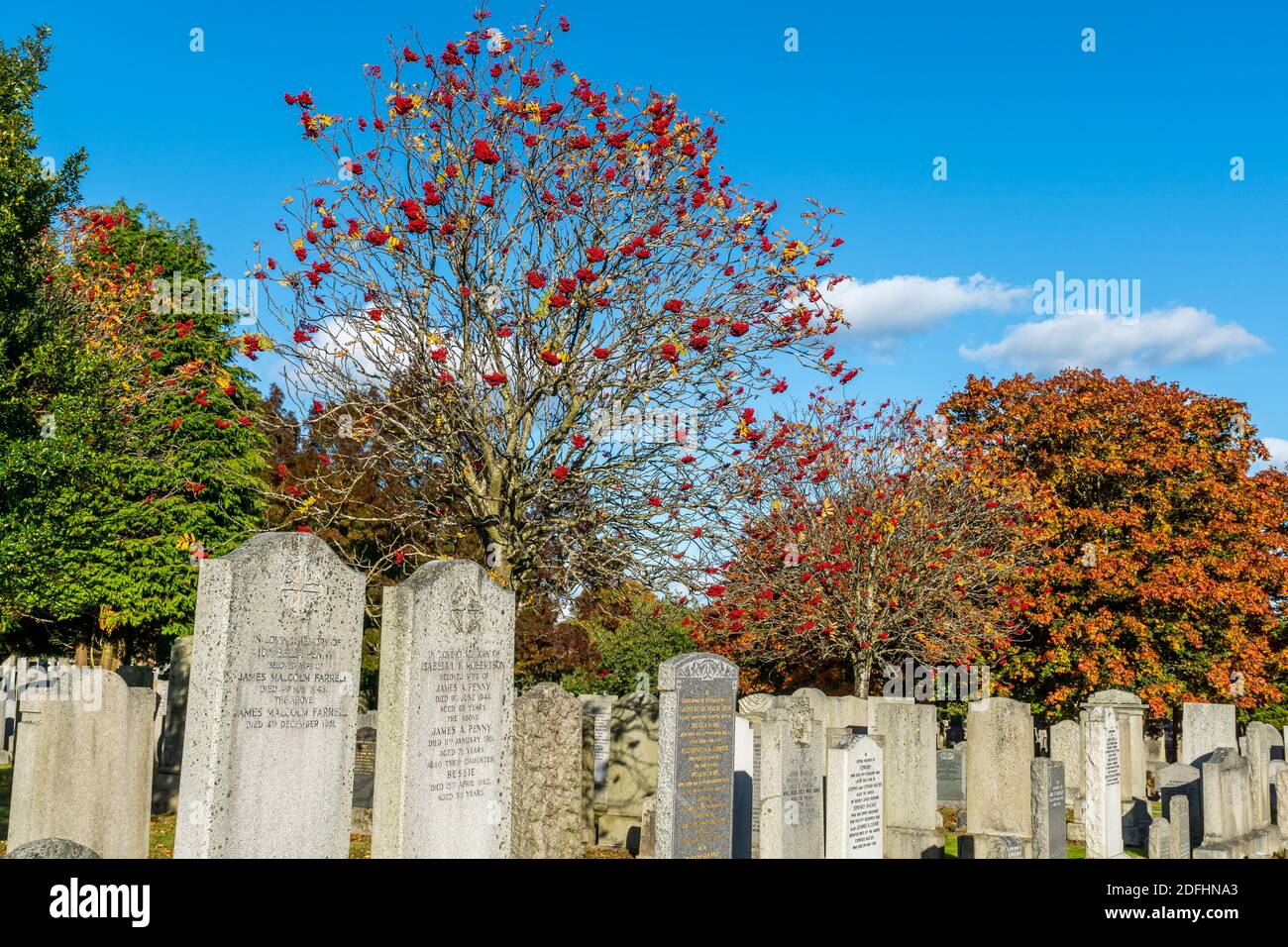 Springbank hi-res stock photography and images - Alamy