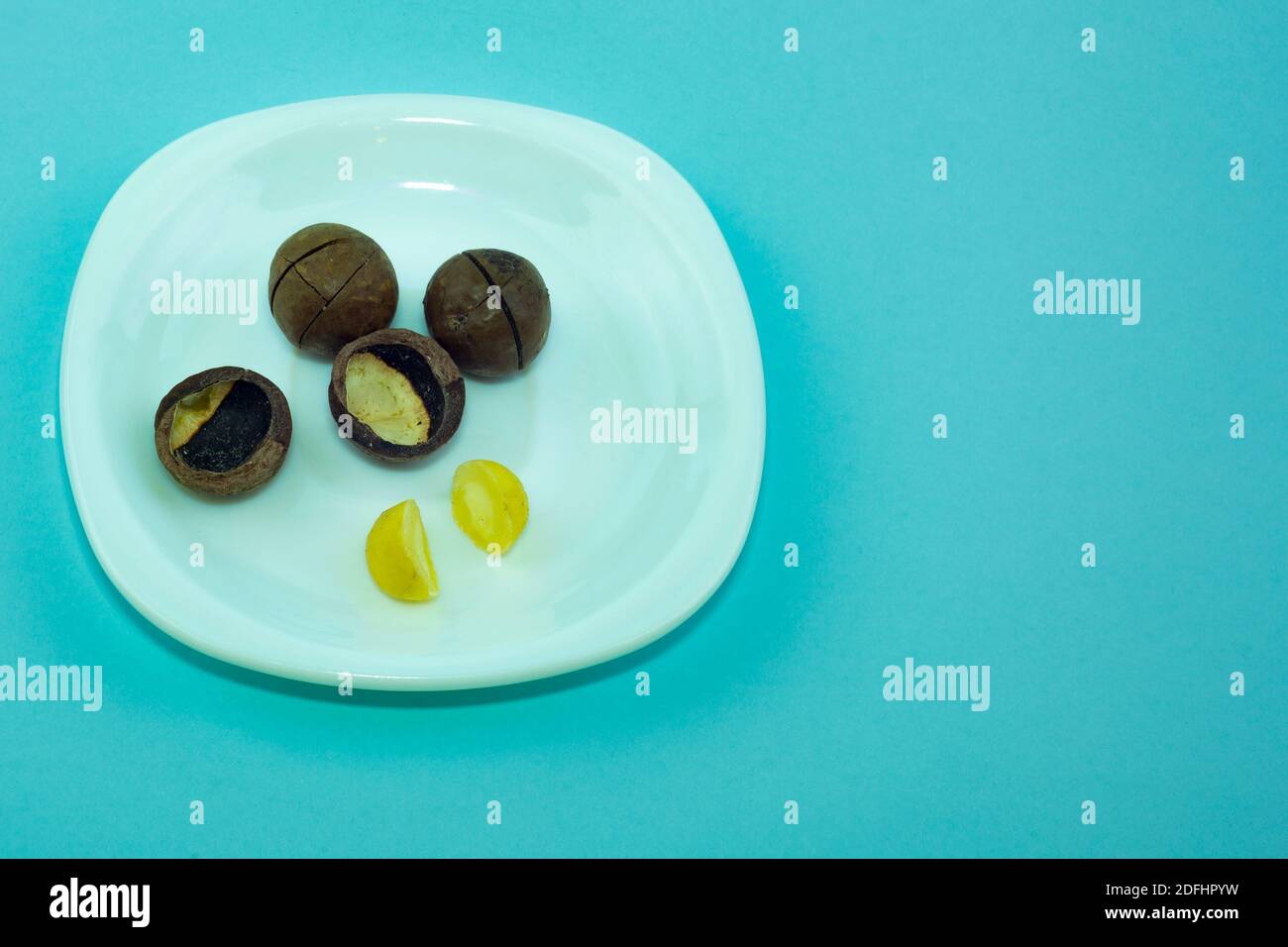 Macadam nuts on a white plate. White plate isolated on a blue background. Closed and open nuts. Stock Photo
