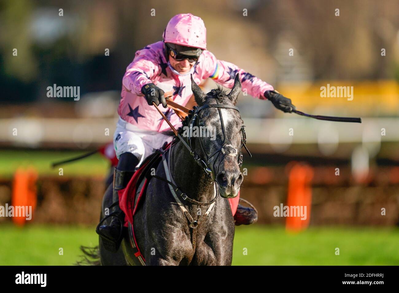 Paddy Brennan riding Elham Valley (pink, pink cap) clears the last to win The Betfair Free Bet On The 1.50 Introductory Juvenile Hurdle at Sandown Park at Sandown Park Racecourse, Esher. Stock Photo