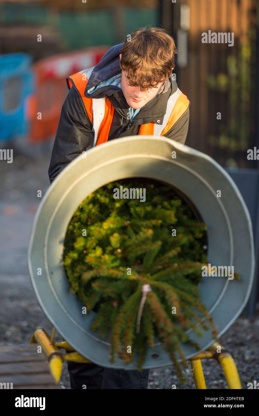 Procuring hires stock photography and images Alamy