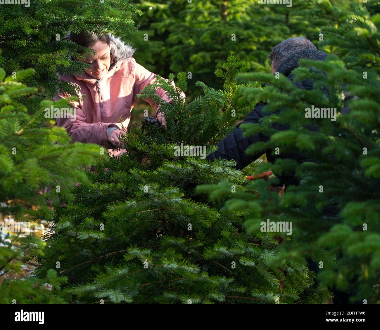 Glasgow, Scotland, UK. 5th Dec, 2020. Pictured Festive fun galore, as