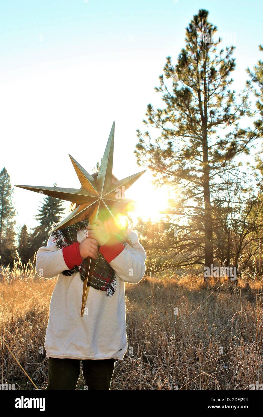 Christmas In The Woods Stock Photo Alamy