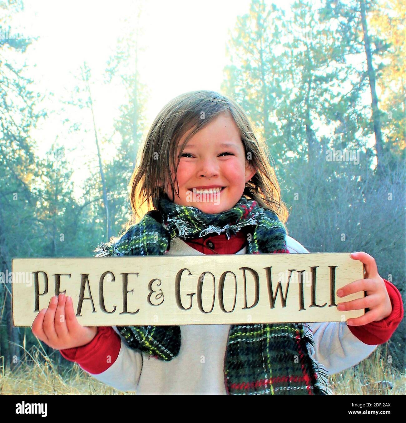 Christmas In The Woods Stock Photo Alamy