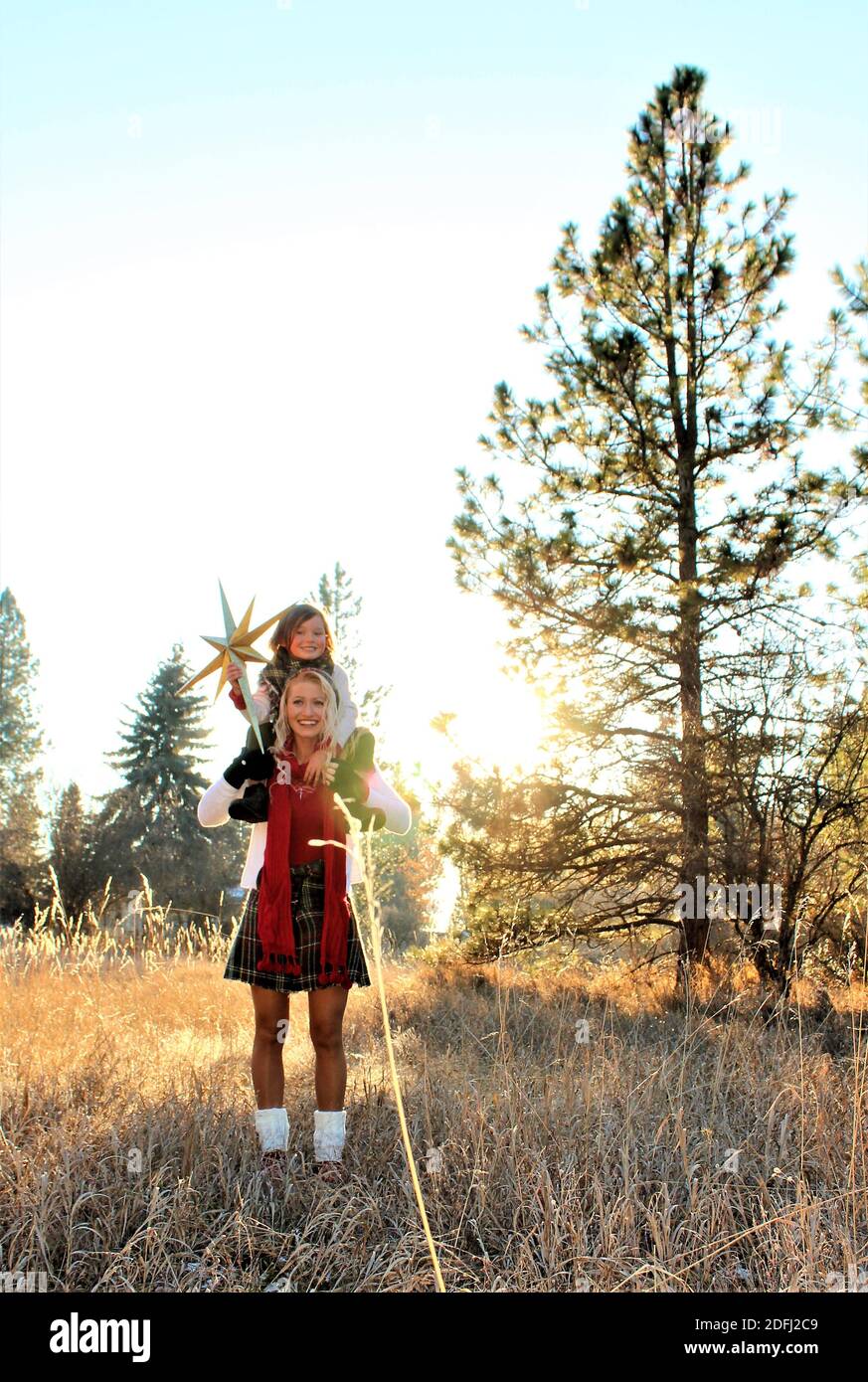 Christmas In The Woods Stock Photo Alamy