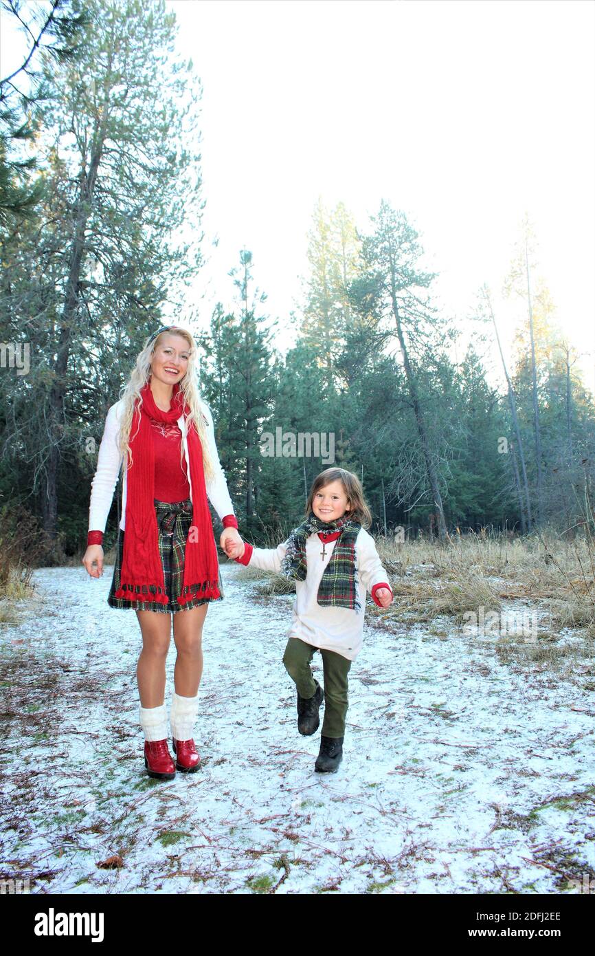 Christmas In The Woods Stock Photo Alamy