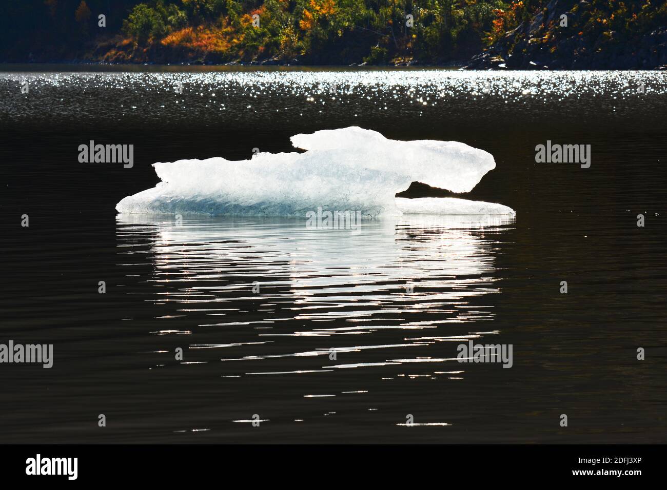 Ice floating in a glacier lake, Alaska Stock Photo