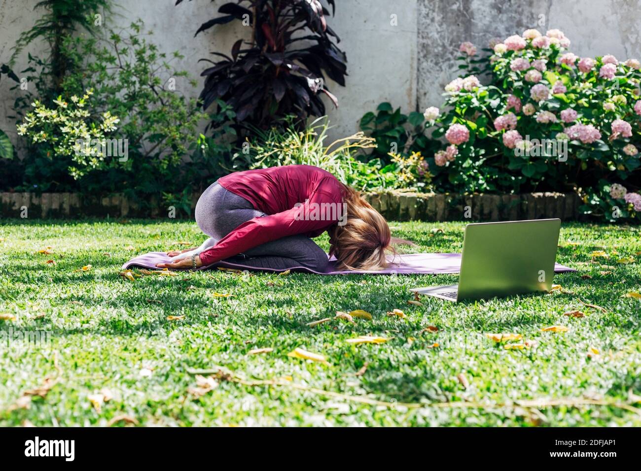 Online sport fitness yoga training workout, senior woman in the garden of her home doing exercises on pilates mat opposite laptop at home. Stock Photo
