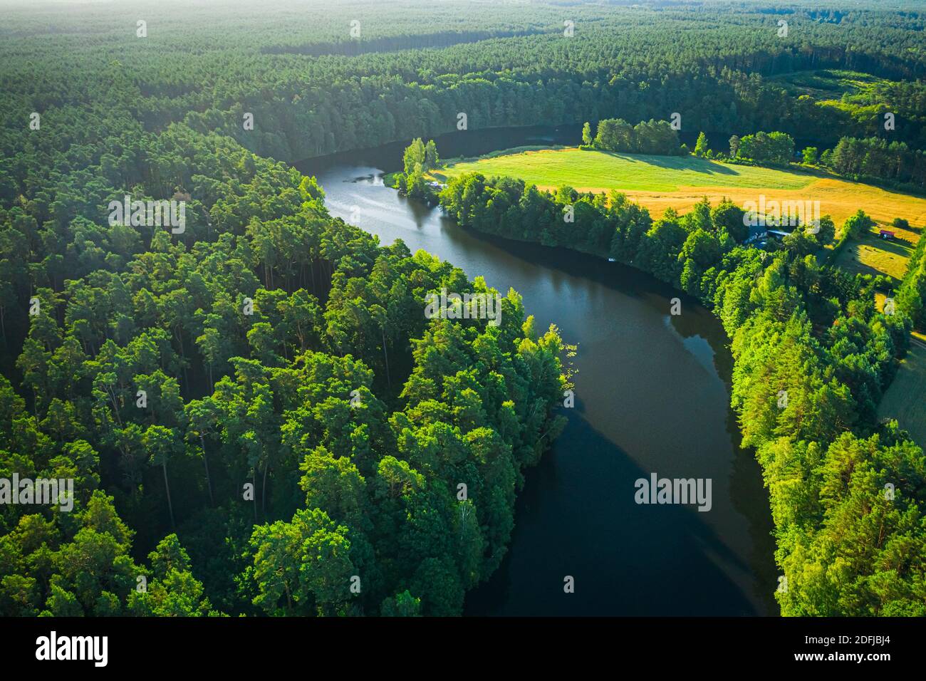 Turning Rivers Turning river and forests at sunrise, aerial view, Poland Stock Photo ...