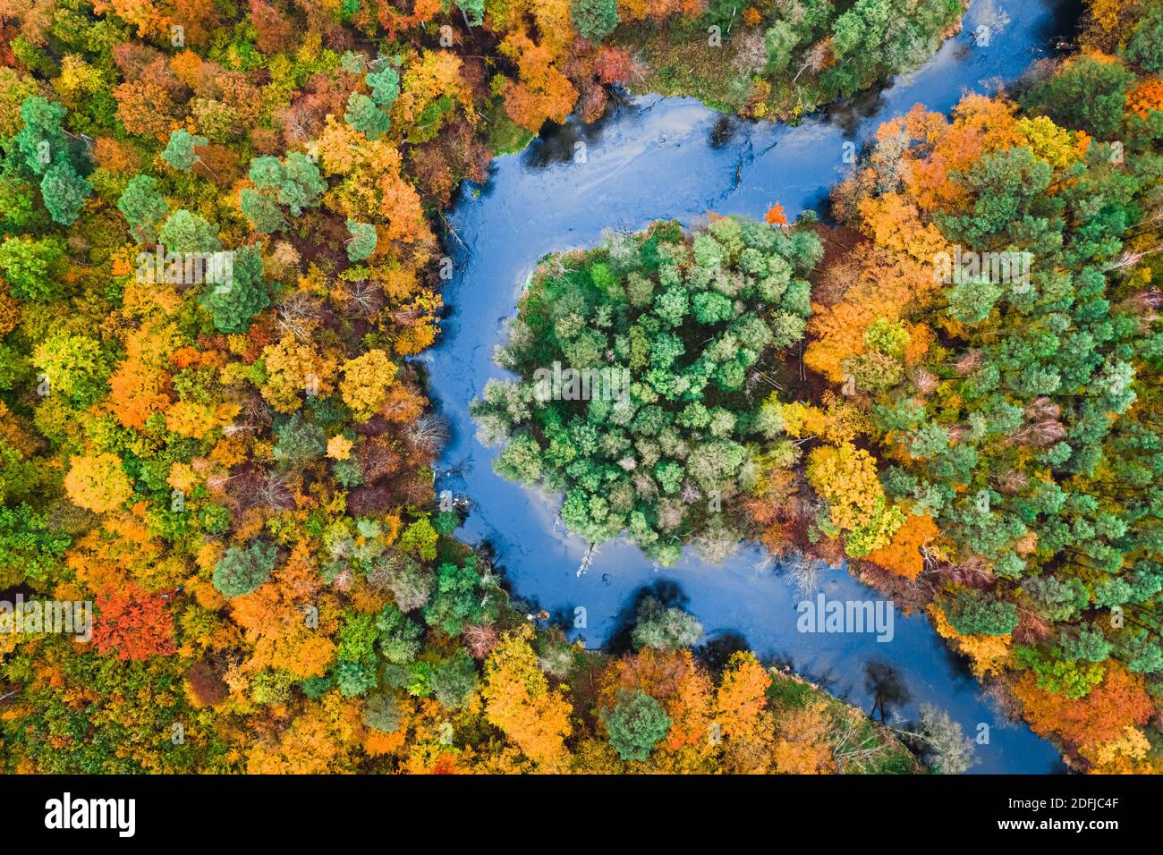 Aerial view of colorful autumn forest and blue river, Poland, Europe ...
