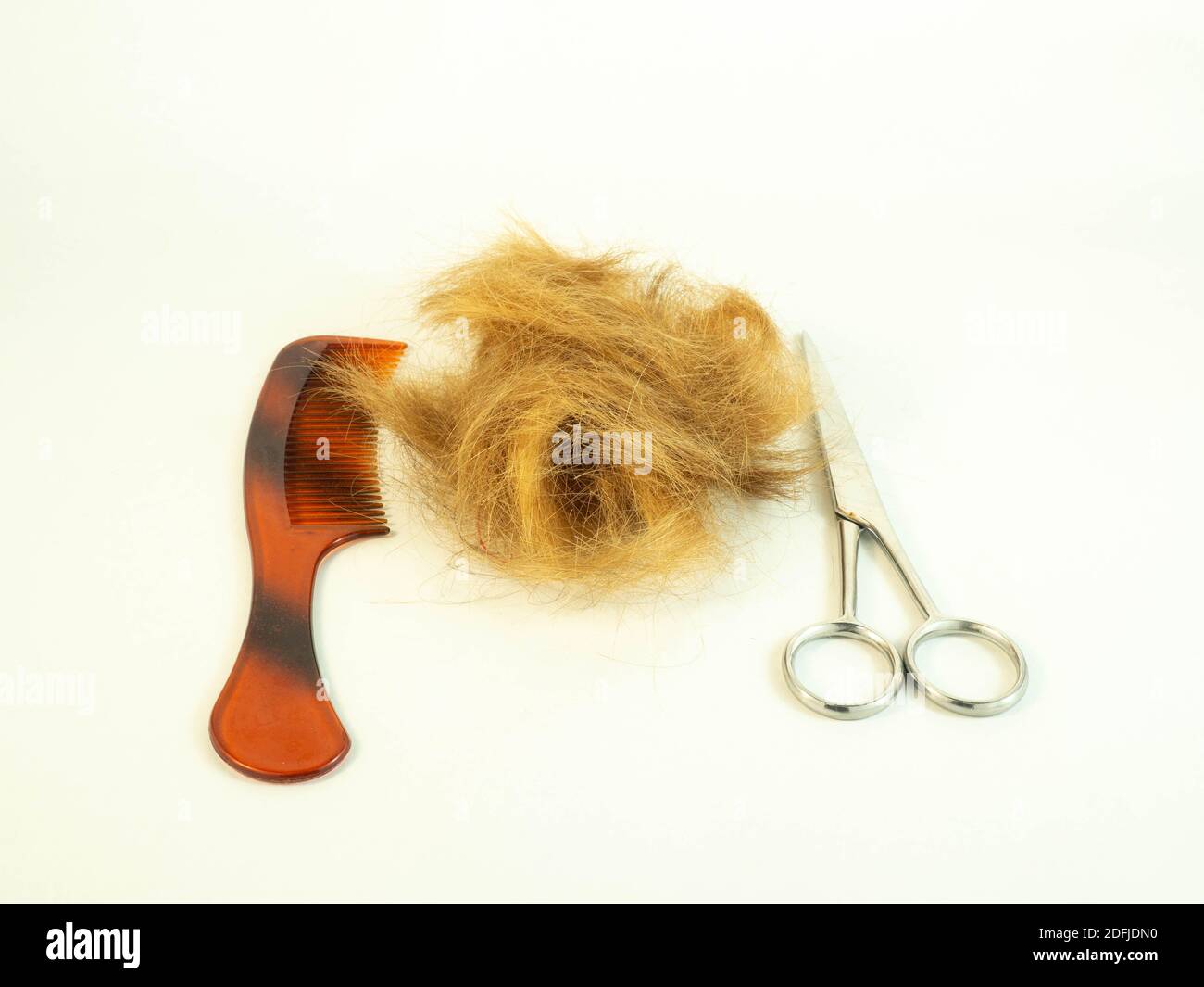 A tuft of hair after being cut, laid next to a pair of scissors, comb