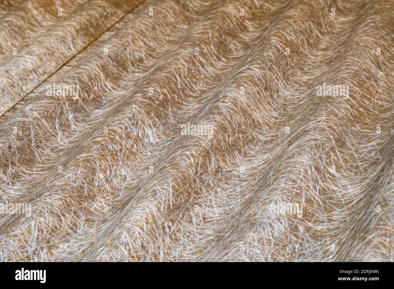 old fiberglass corrugated roofing Stock Photo