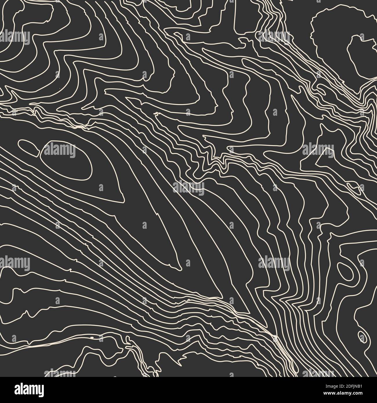 Grey Contours Vector Topography. Geographic Mountain Topography